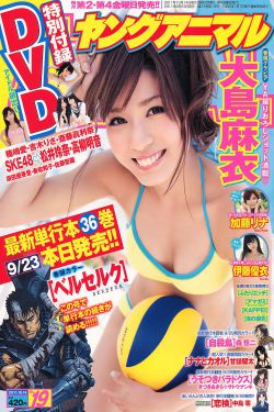 楚汉传奇演员表