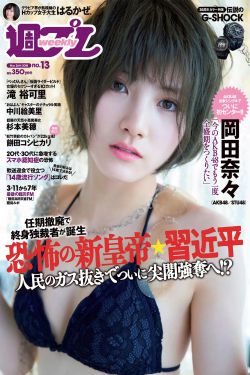 登月计划