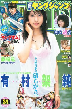 顾城别恋