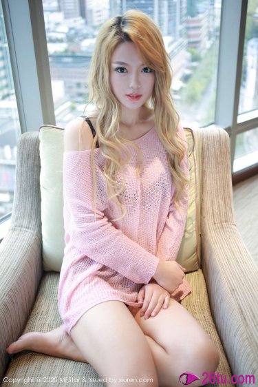 铁飞龙