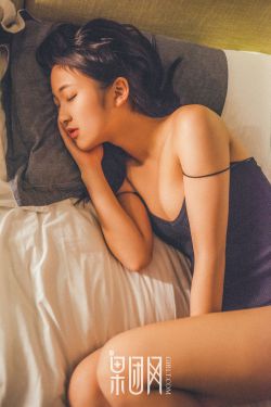 大盗贼动画片